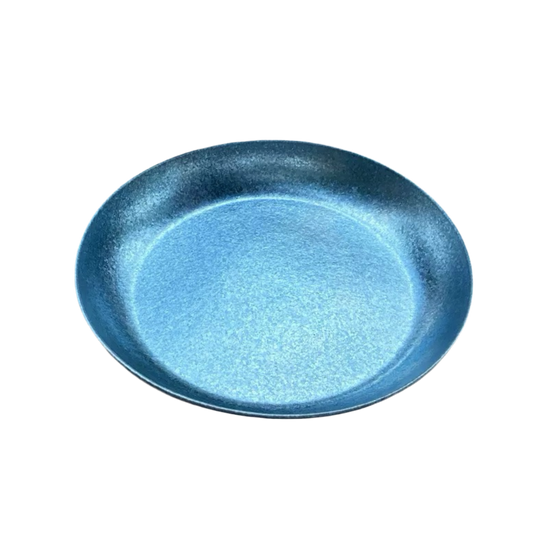 GlacierForge Pure Titanium Plate - 19.5cm Antibacterial, Camping & Home Dishwasher Safe